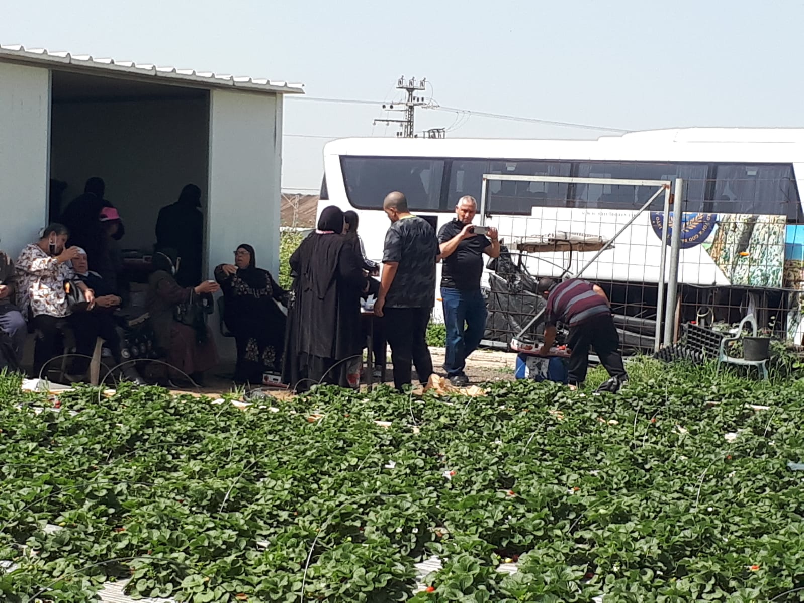 WhatsApp Image 2021-04-11 at 11.52.41 AM.jpeg